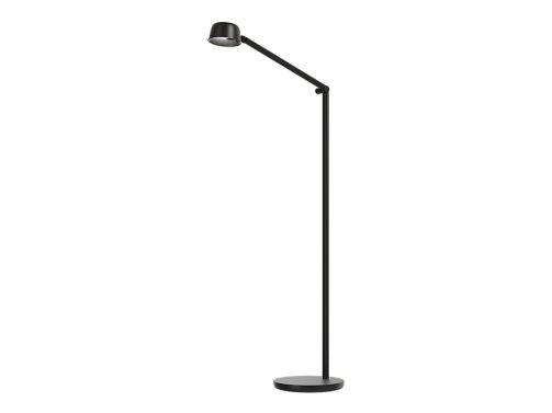 Floor lamps offer variety