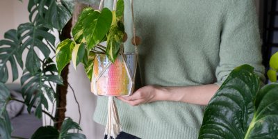 Disco flower pot and hanging basket with @pflanzen.vaddi