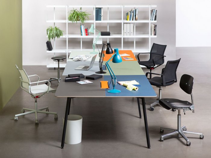 Y Workbench