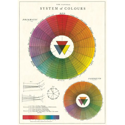 Cavallini Geschenkpapier/Poster 50 x 70 cm, color wheel