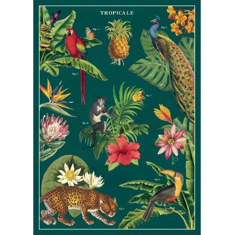 Cavallini Geschenkpapier/Poster 50 x 70 cm, tropicale