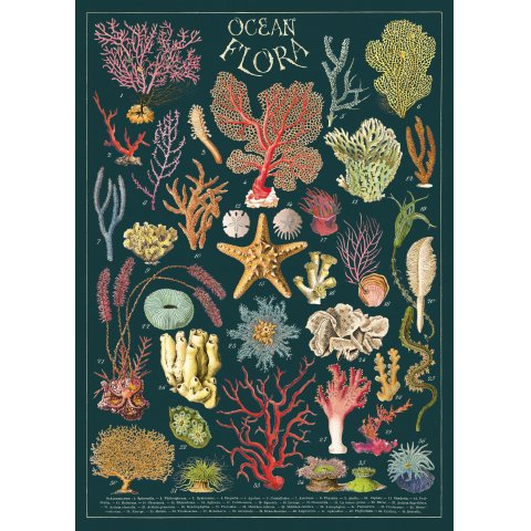 Cavallini Geschenkpapier/Poster 50 x 70 cm, ocean flora