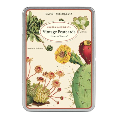 Cavallini Postkartenset 18 Stück sortiert, cacti & succulents