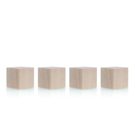 Magnetoplan Imanes Serie Madera 20 x 20 x 20 mm, 4 piezas, cubo