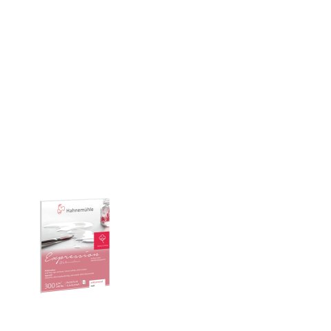 Hahnemühle Aquarellblock Expression, 300 g/m² Miniblock, 80 x 105 mm, 12 Blatt, matt