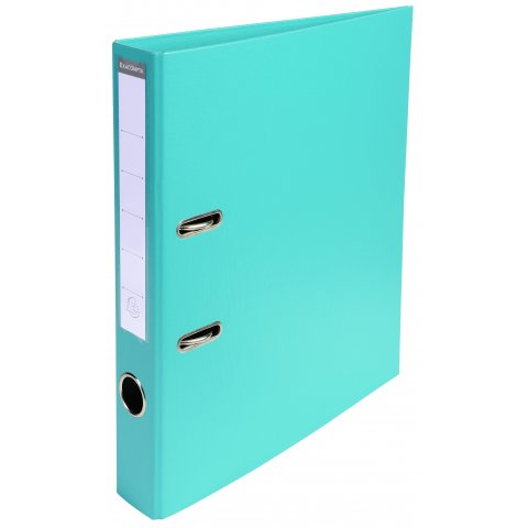 Exacompta PVC folder for DIN A4, spine width 50 mm, light green