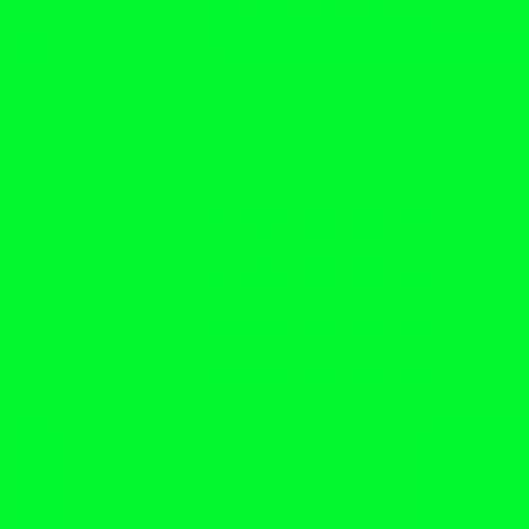 Lascaux Acrylfarbe Neon Kunststoffflasche 250 ml, Grün (418) 