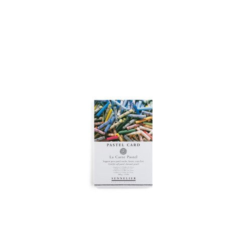 Sennelier Malblock Pastel Card, 360 g/m² für Softpastelle, 160 x 240 mm, 12 Blatt, 6 Farben