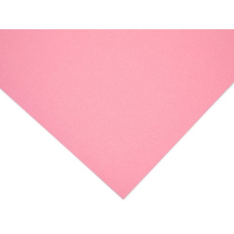 Photo mounting board, coloured 270 g/m², 210 x 297 DIN A4 10 sheets, rose