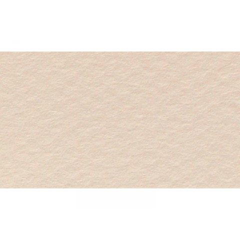 Carta da disegno Canson Vellum Mi-Teintes 160 g/m², 210 x 297 DIN A4, beige pastello (112)