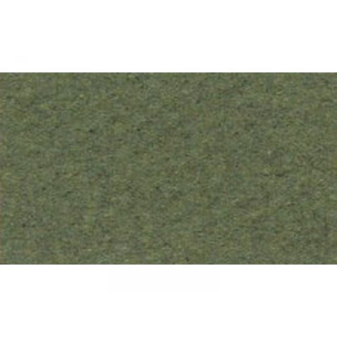 Carta da disegno Canson Vellum Mi-Teintes 160 g/m², 210 x 297 DIN A4, verde scuro (448)