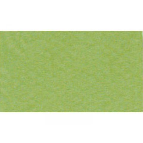 Papel de dibujo Canson Vellum Mi-Teintes 160 g/m², 210 x 297 DIN A4, verde (475)
