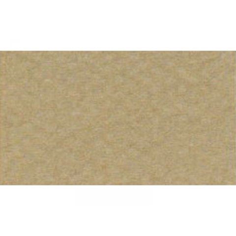 Carta da disegno Canson Vellum Mi-Teintes 160 g/m², 500 x 650, grigio marrone (336)