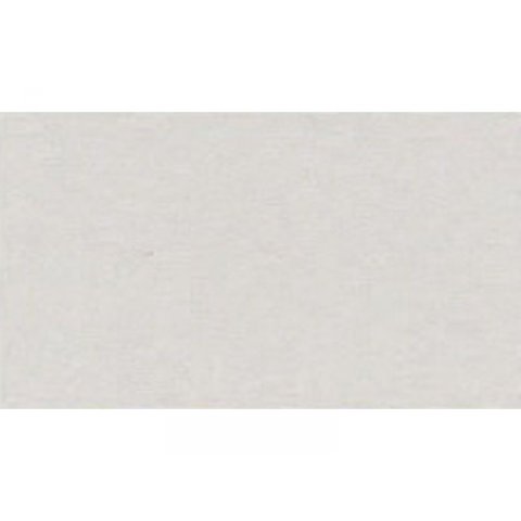 Canson Velin-Zeichenpapier Mi-Teintes 160 g/m², 500 x 650, hellgrau (343)