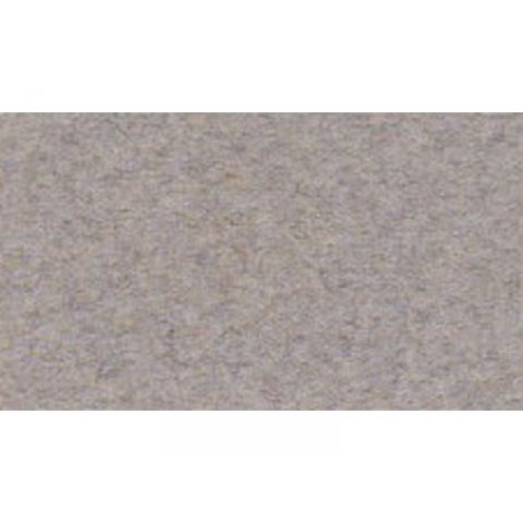 Carta da disegno Canson Vellum Mi-Teintes 160 g/m², 500 x 650, grigio fumo (429)