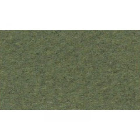Papel de dibujo Canson Vellum Mi-Teintes 160 g/m², 500 x 650, verde oscuro (448)