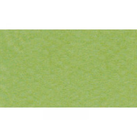 Carta da disegno Canson Vellum Mi-Teintes 160 g/m², 500 x 650, verde (475)