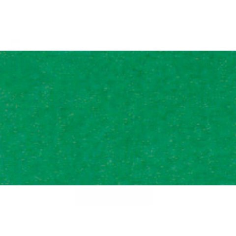 Carta da disegno Canson Vellum Mi-Teintes 160 g/m², 500 x 650, verde erba (575)