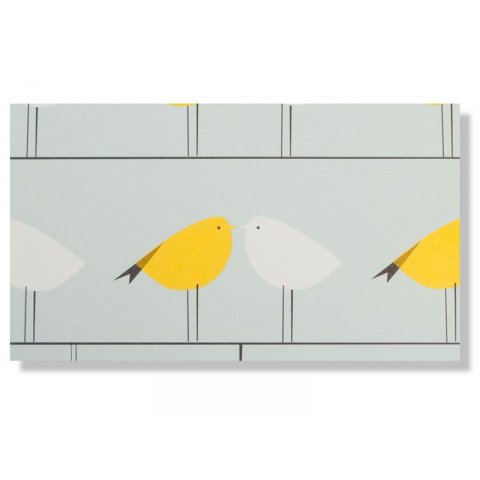 Pleased to meet gift wrapping paper 500 x 700 mm, birds