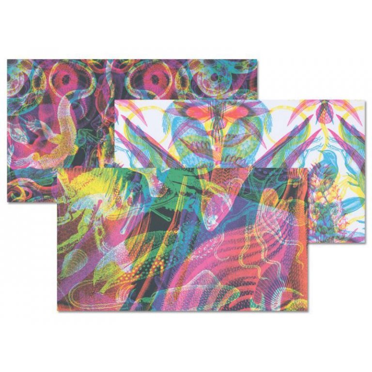 Carnovsky gift wrap paper