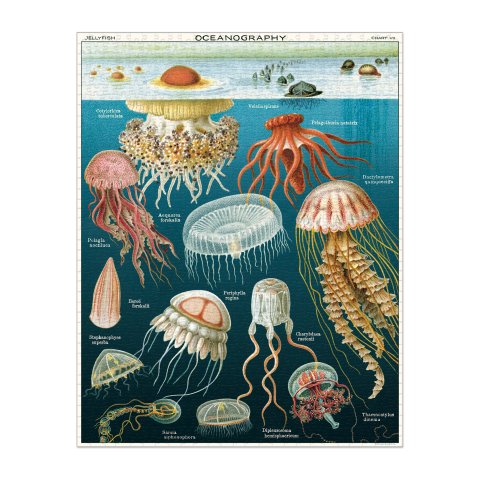 Cavallini Puzzle 55 x 70 cm, 1000 Teile, jellyfish