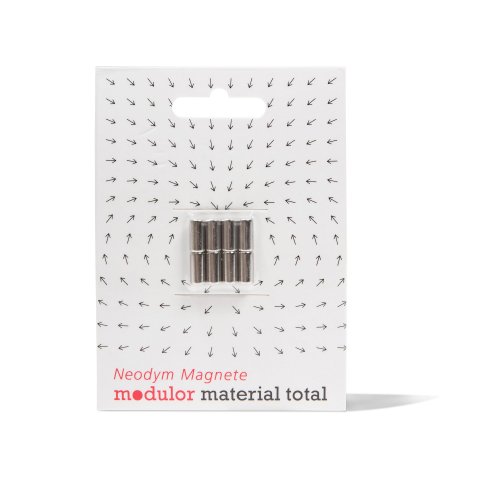 Magnete rotondo in neodimio, argento ø 5 mm, h=10 mm, N 42, 8 units