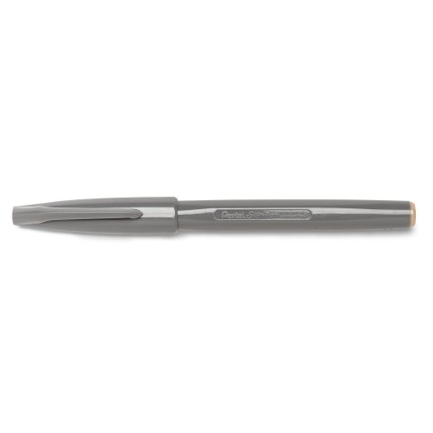 Pentel Sign Pen S520 Bolígrafo, gris