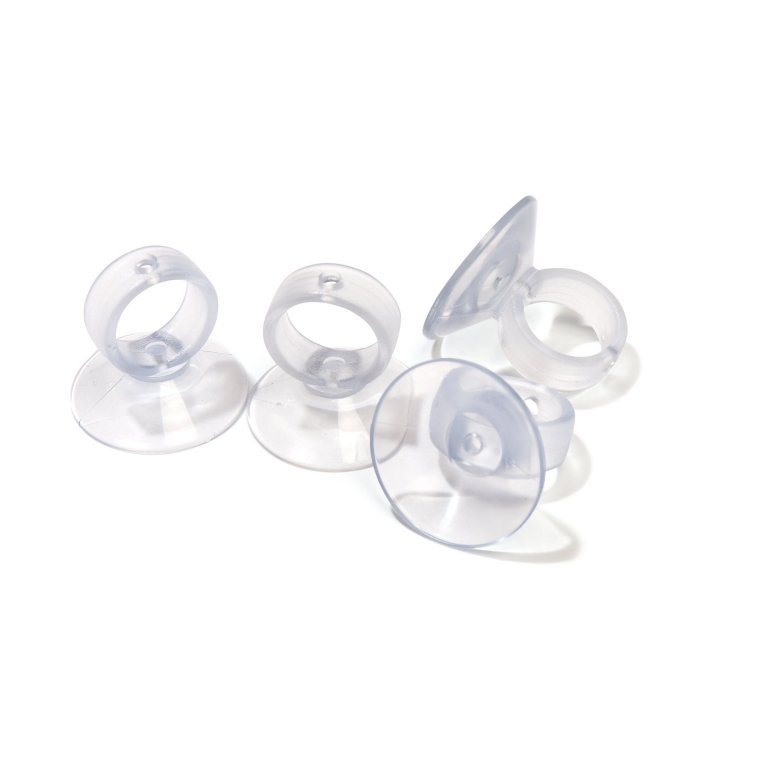 Suction cup with eyelet