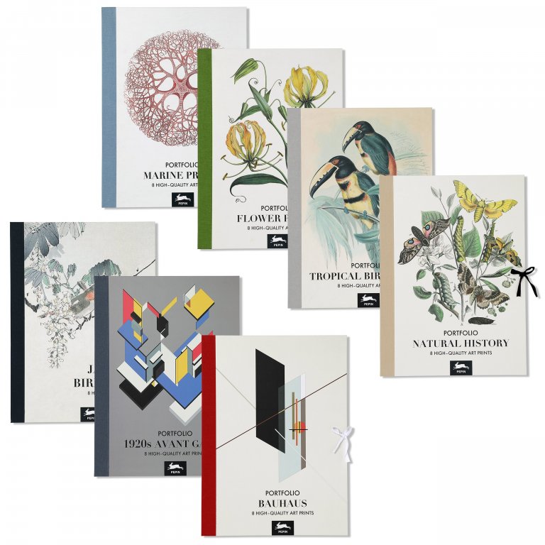 Pepin Portfolio