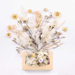 Flores secas para artesanía Jardinera 20 x 12 x 4 cm, mezcla aleatoria, blanca