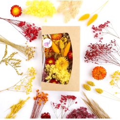 Flores secas para artesanía Jardinera 20 x 12 x 4 cm, mezcla aleatoria, rojo-amarillo