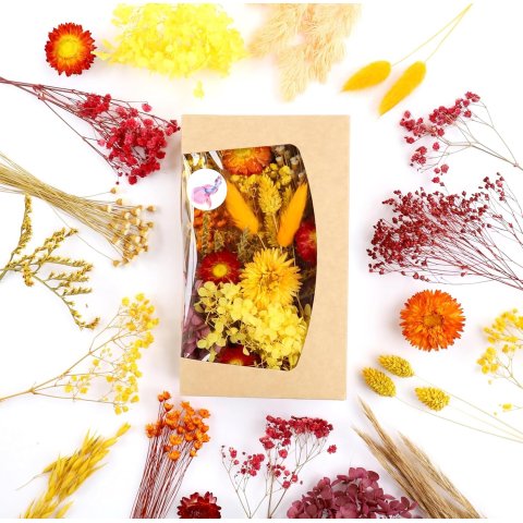 Dried flowers for crafting Window box 20 x 12 x 4 cm, random mix, red-yellow