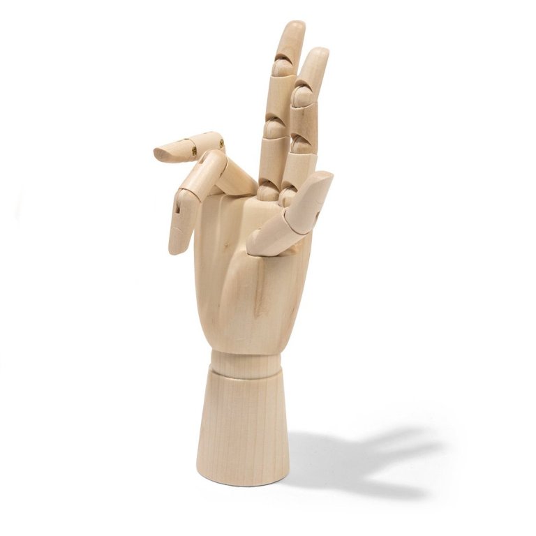 Model hand, wood varnished