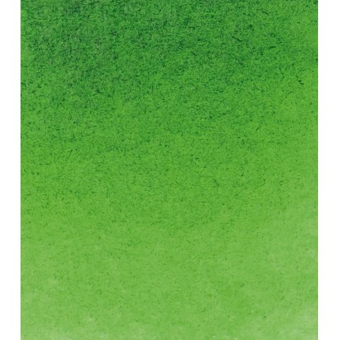 Schmincke Acuarela Horadam 1/2 tazón, jugo verde (530)