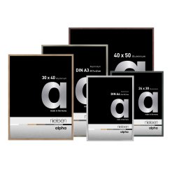 Nielsen marco desmontable Alu Alpha