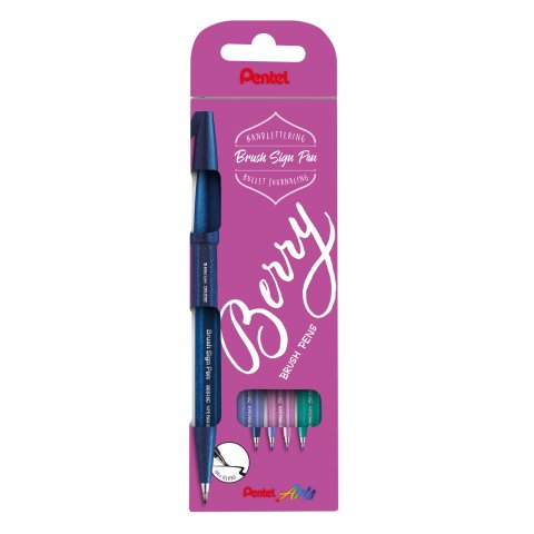 Pentel Sign Pen Brush, 4er-Set Pastell Set, blassrosa, blaugrau, hellgrün, blau