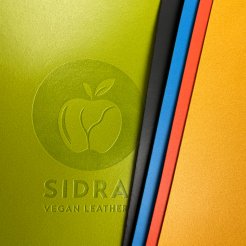 Sidra Apfelleder beschichtet