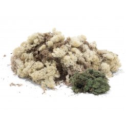 Musgo de Islandia, blando, de color