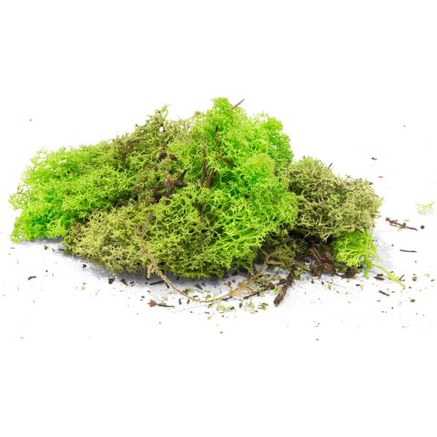 Iceland lichen, soft, coloured May green, app. 50 g