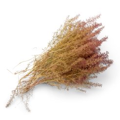 Muschio marino naturale