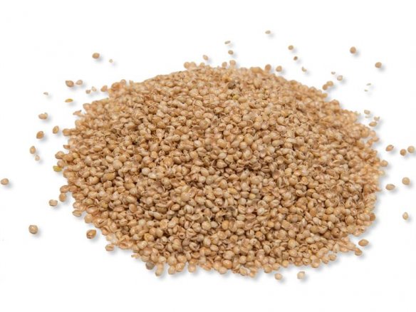 Buy Organic Husk Of Millet Online At Modulor Online Shop