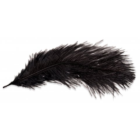 Ostrich feathers l = 300 mm, 1 piece, black