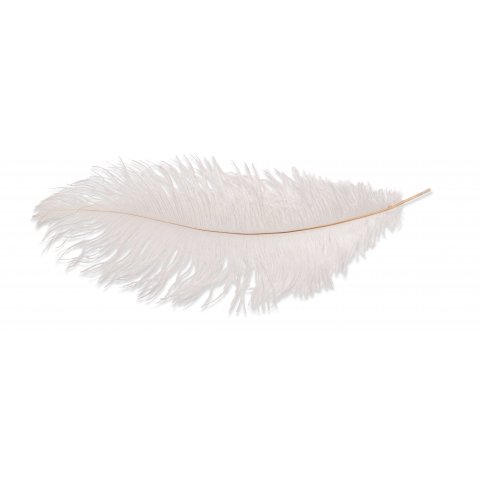 pluma de avestruz l = 300 mm, 1 pieza, blanco
