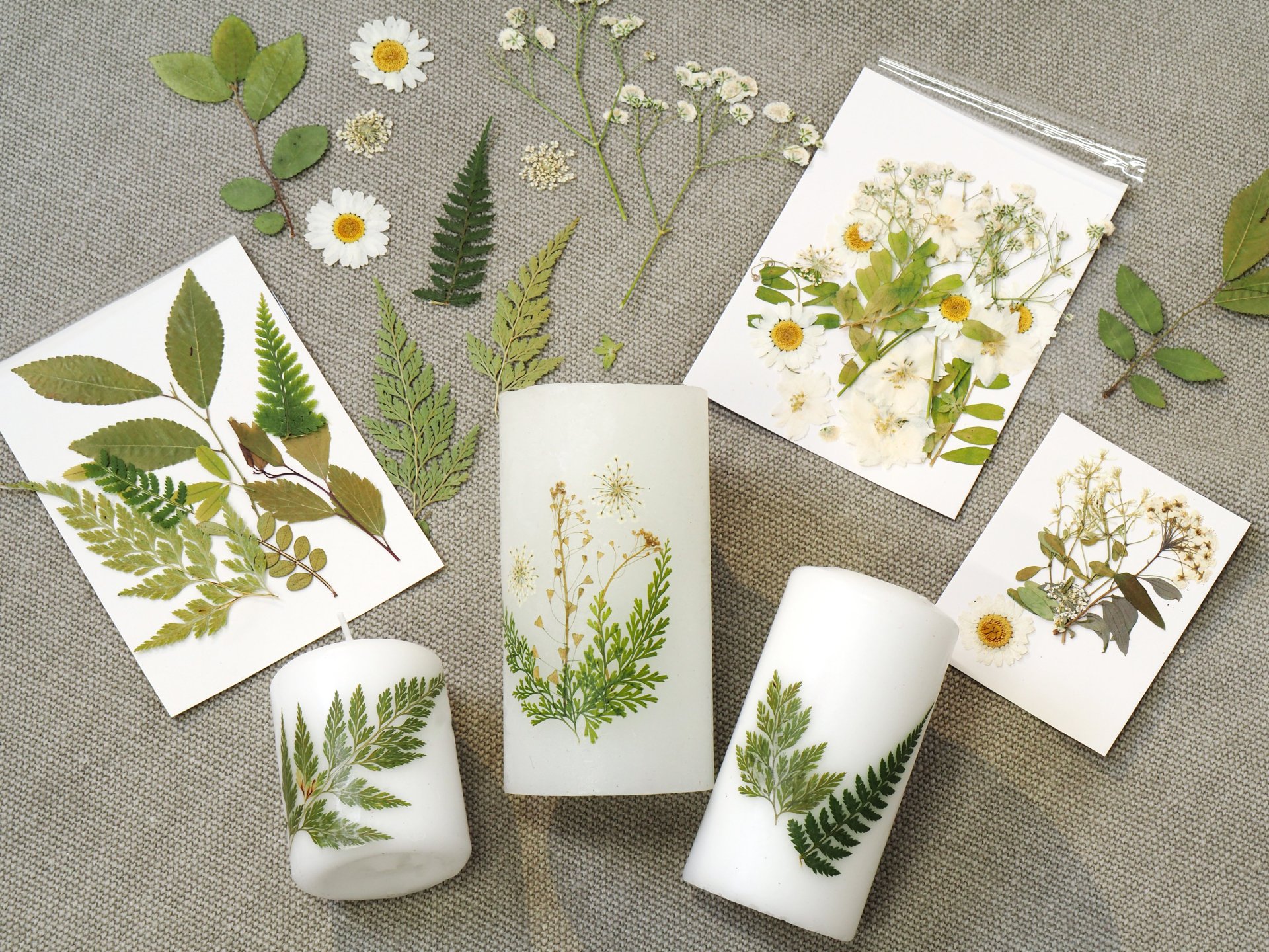 gepresste Blumen und Blätter online kaufen
