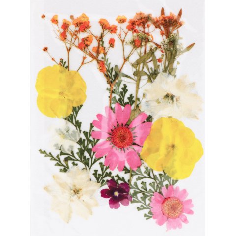 Gepresste Blumen und Blätter 16 Stück, 100 % natürlich, rosa/gelb/weiß