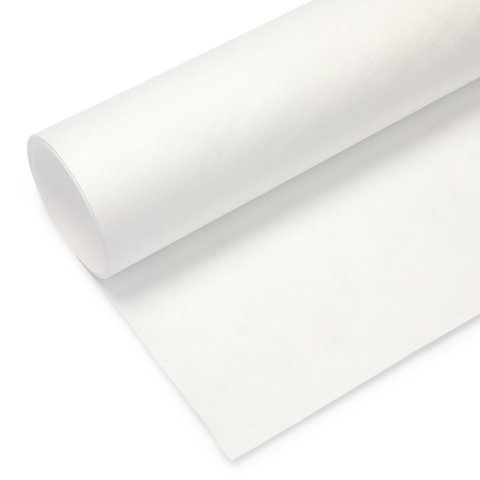 Tyvek PE spunbond, blanco 1073D, aprox. 75 g/m², ancho = 1600 mm, rígido