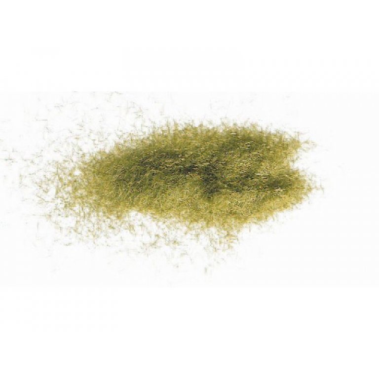Noch static grass, green