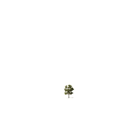 Laubbäume geätzt h=50 mm, naturgrün, brauner Stamm