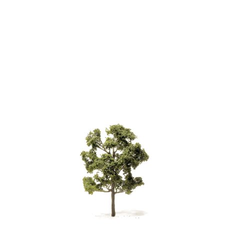 Latifoglie per modellini incise h=60 mm, verde naturale, tronco marrone