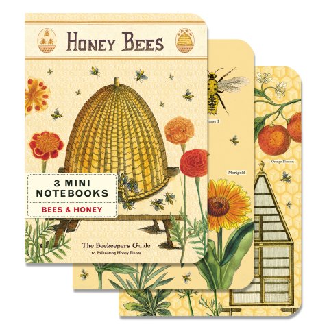 Cavallini Notizbuch Set Mini 10 x 14 cm, 3 St., blanko & liniert, bees & honey